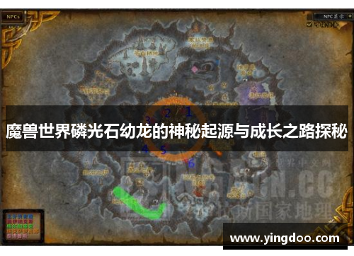 魔兽世界磷光石幼龙的神秘起源与成长之路探秘